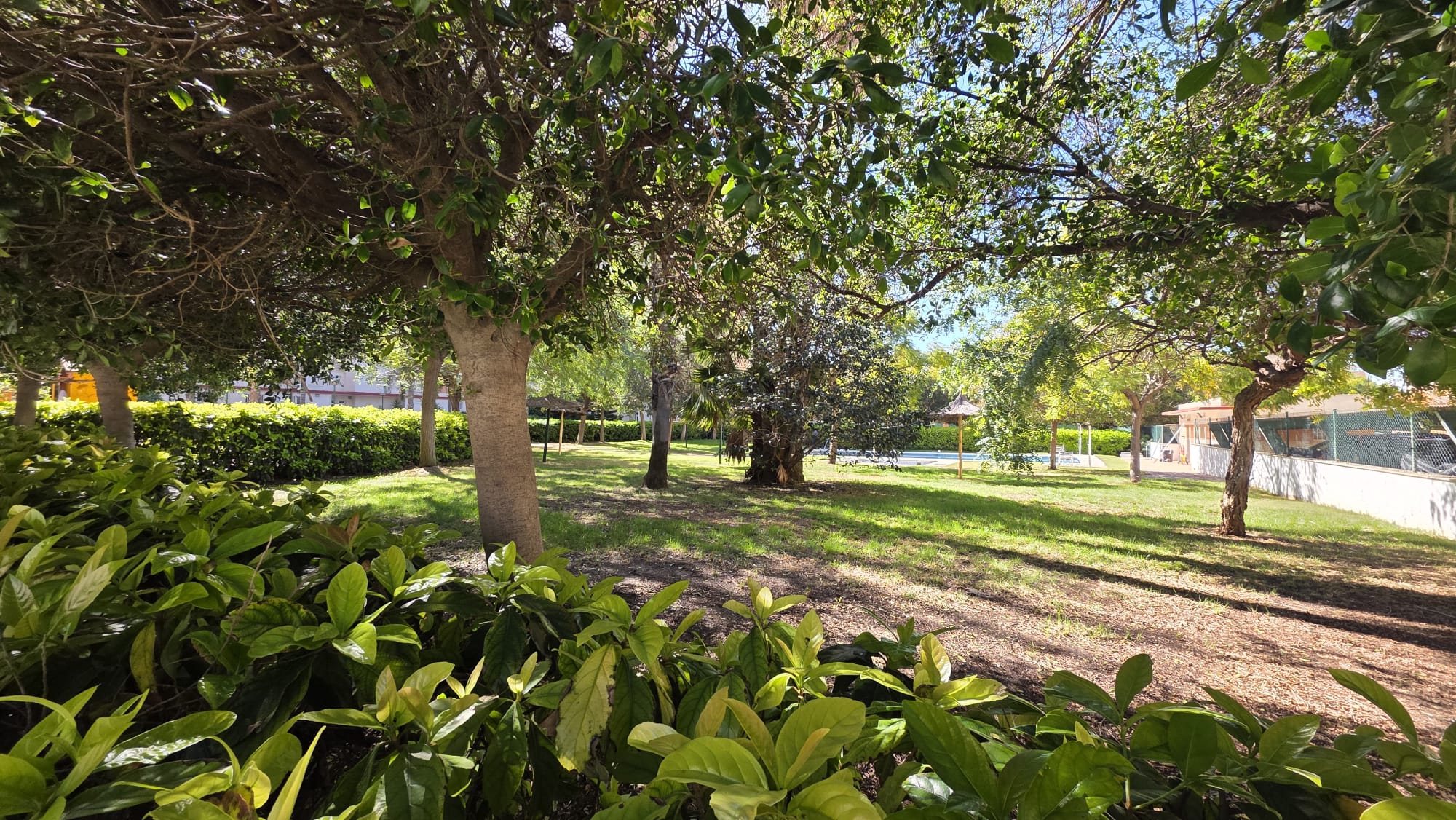 Venta piso Playa de san juan Ref. 650