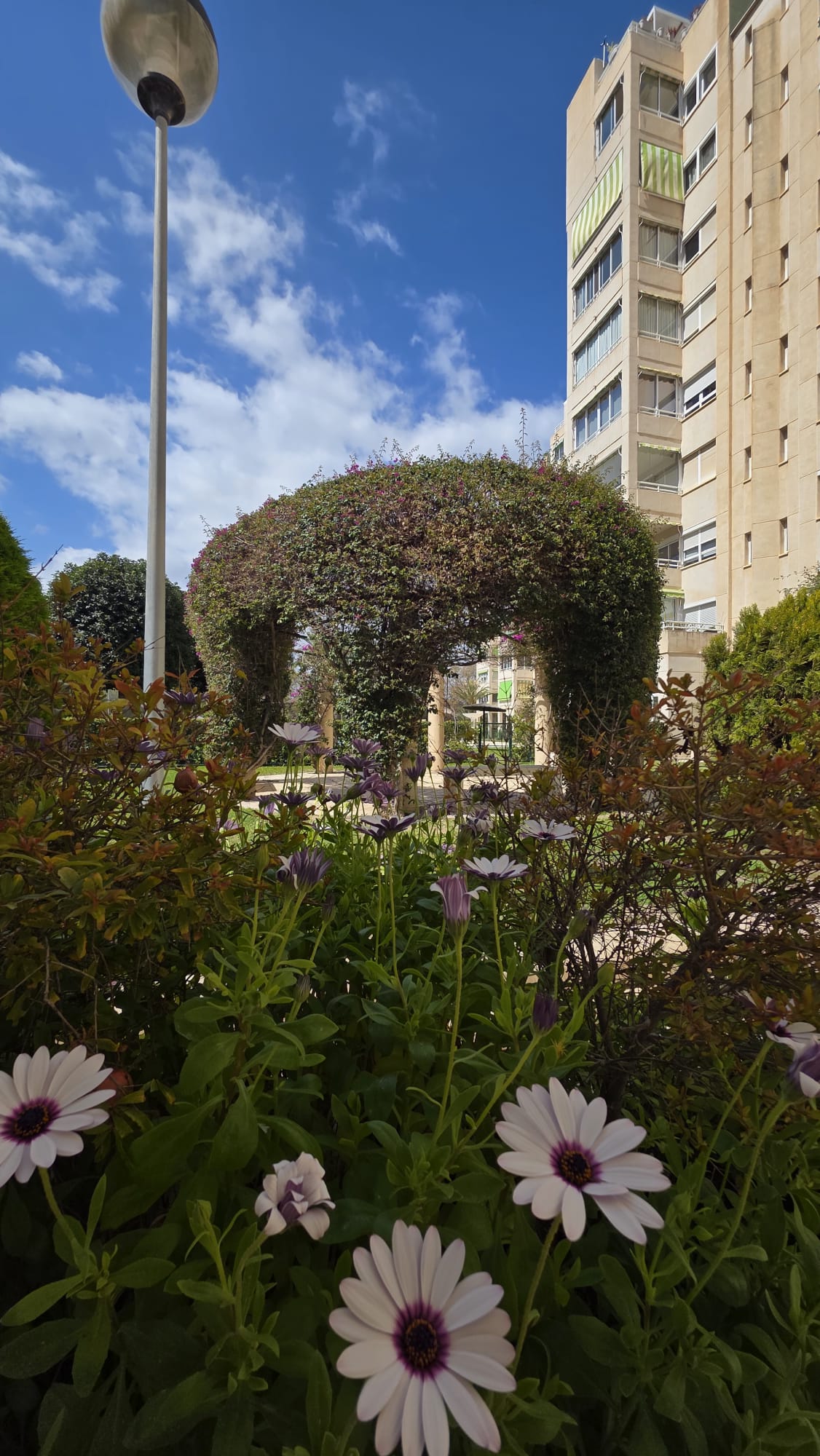 ATICO en Playa de San Juan Ref. S-736